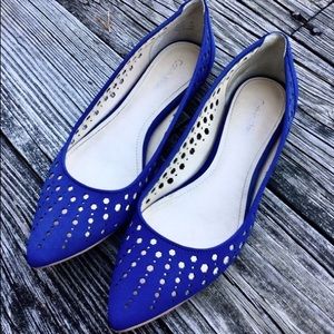 Calvin Klein bento point toe cobalt blue flats